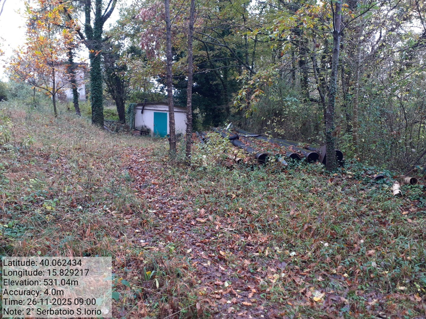 Galleria Fotografica Immagine