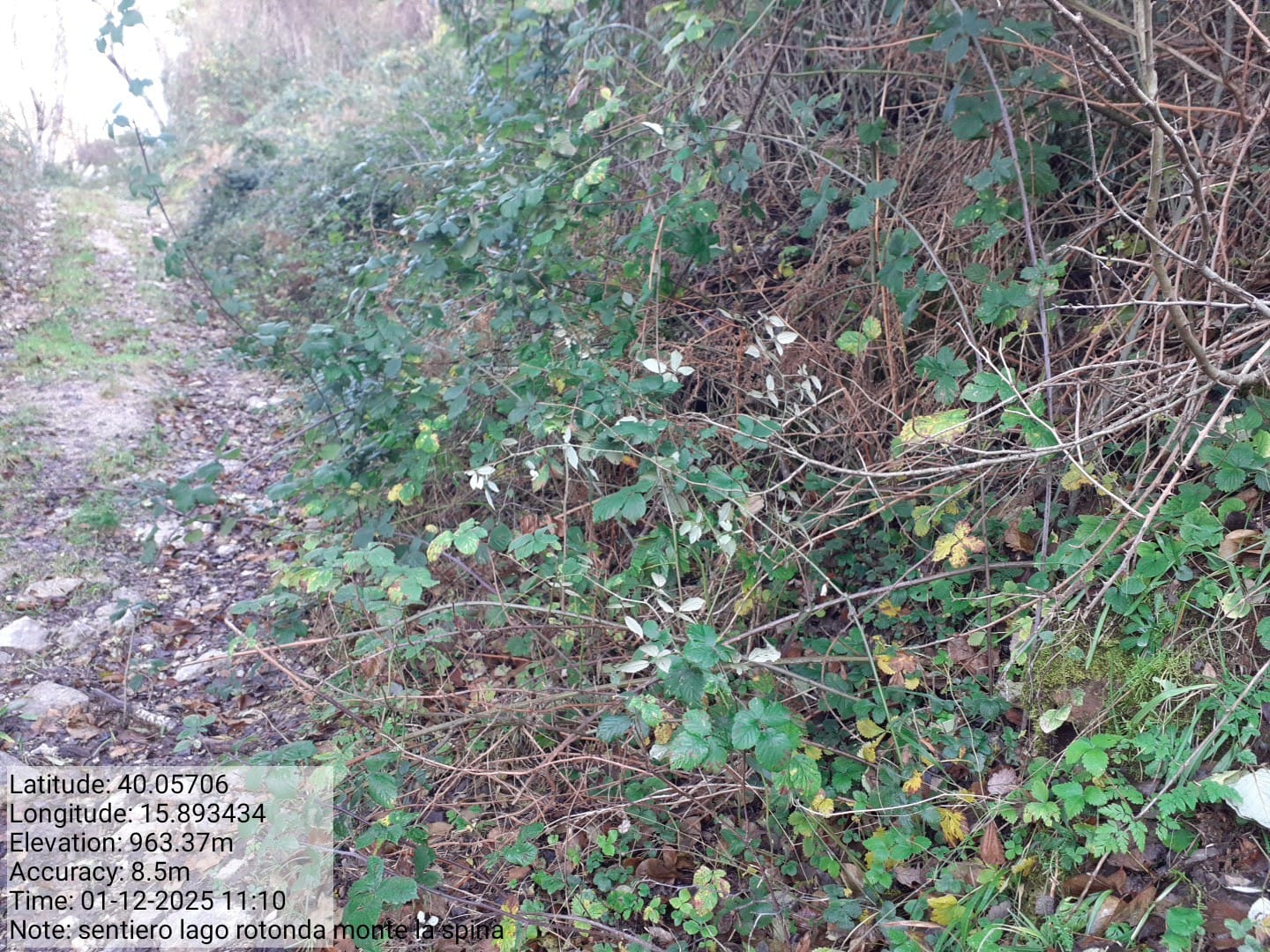 Galleria Fotografica Immagine