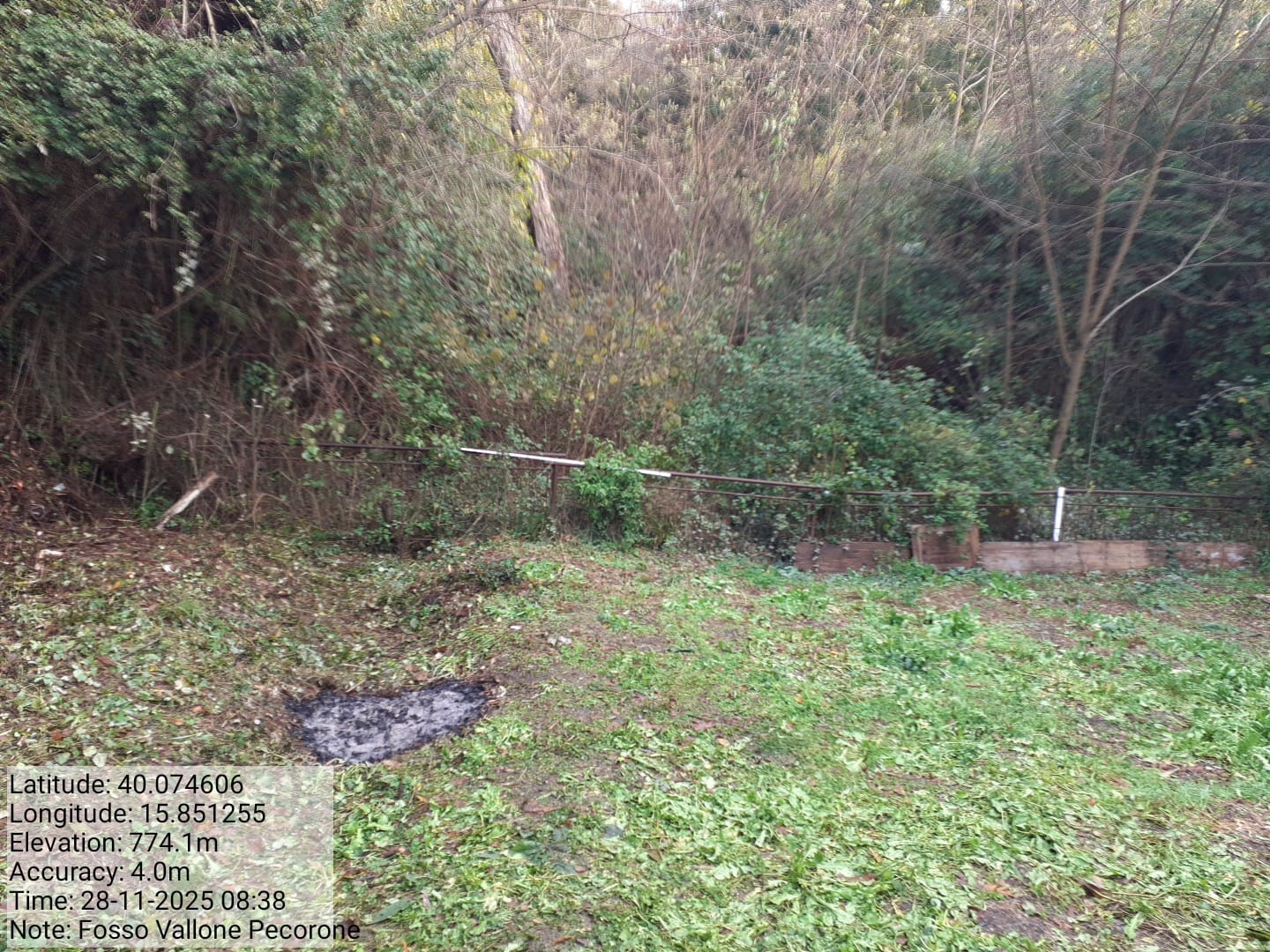 Galleria Fotografica Immagine