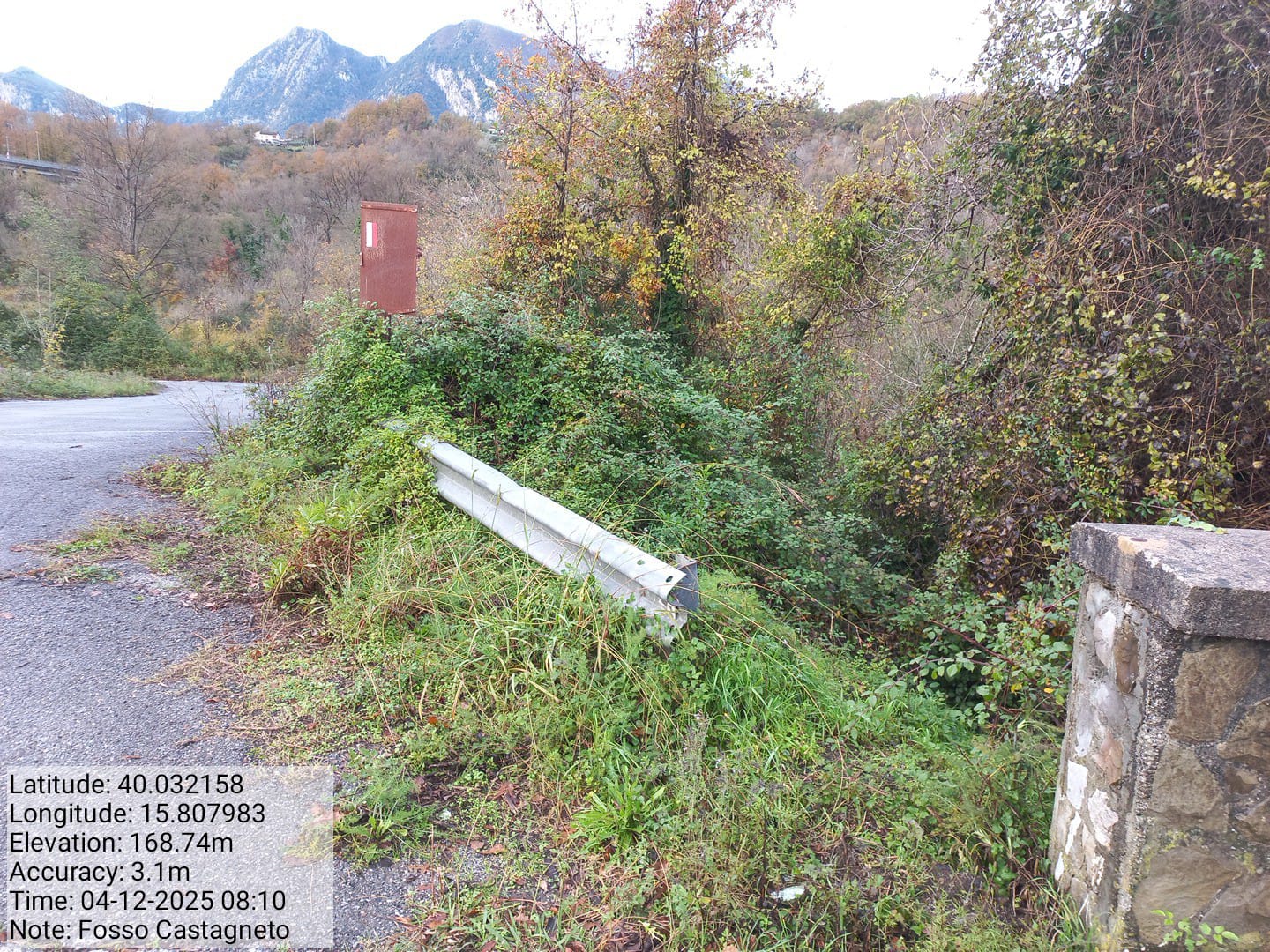 Galleria Fotografica Immagine