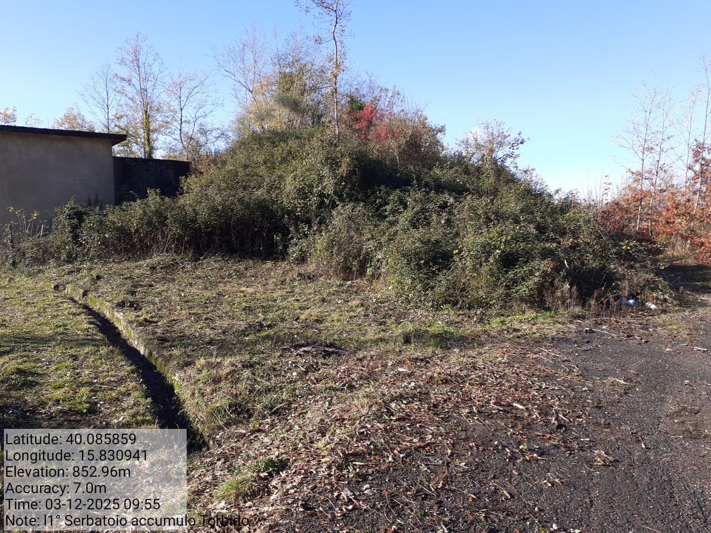 Galleria Fotografica Immagine