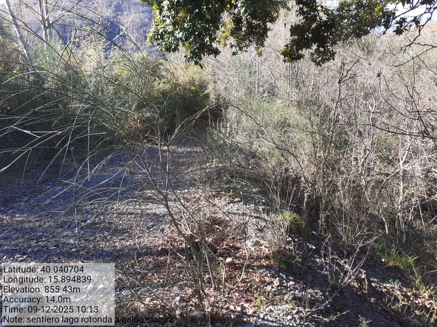 Galleria Fotografica Immagine