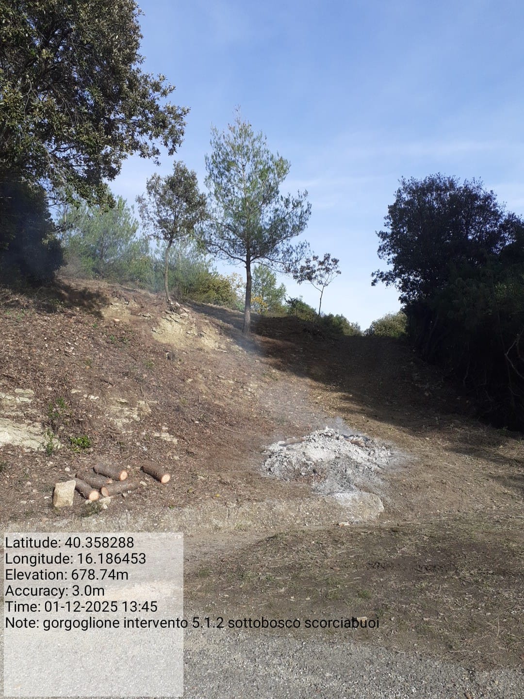 Galleria Fotografica Immagine