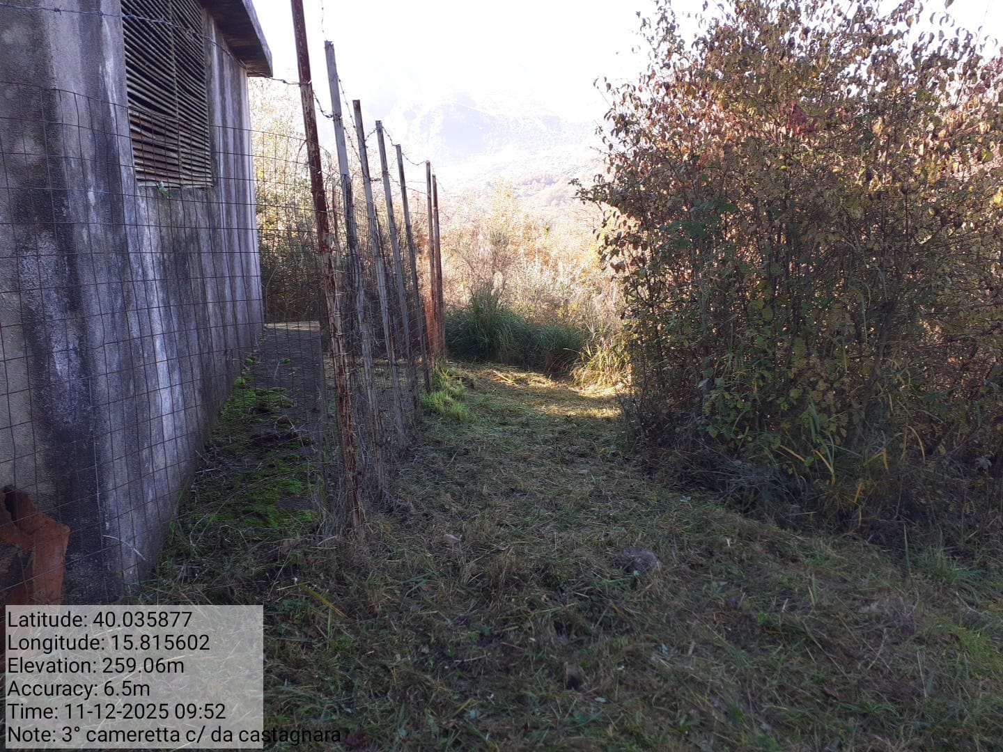 Galleria Fotografica Immagine