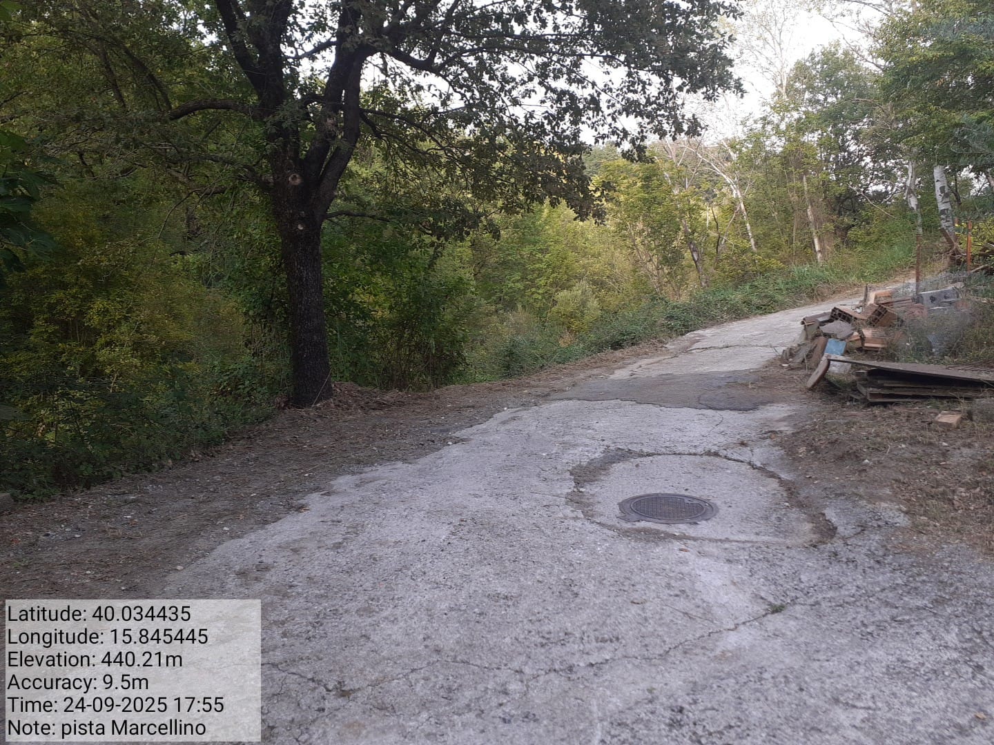 Galleria Fotografica Immagine