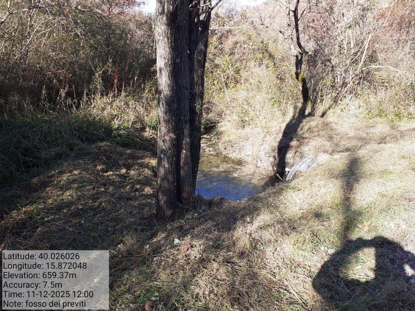 Galleria Fotografica Immagine