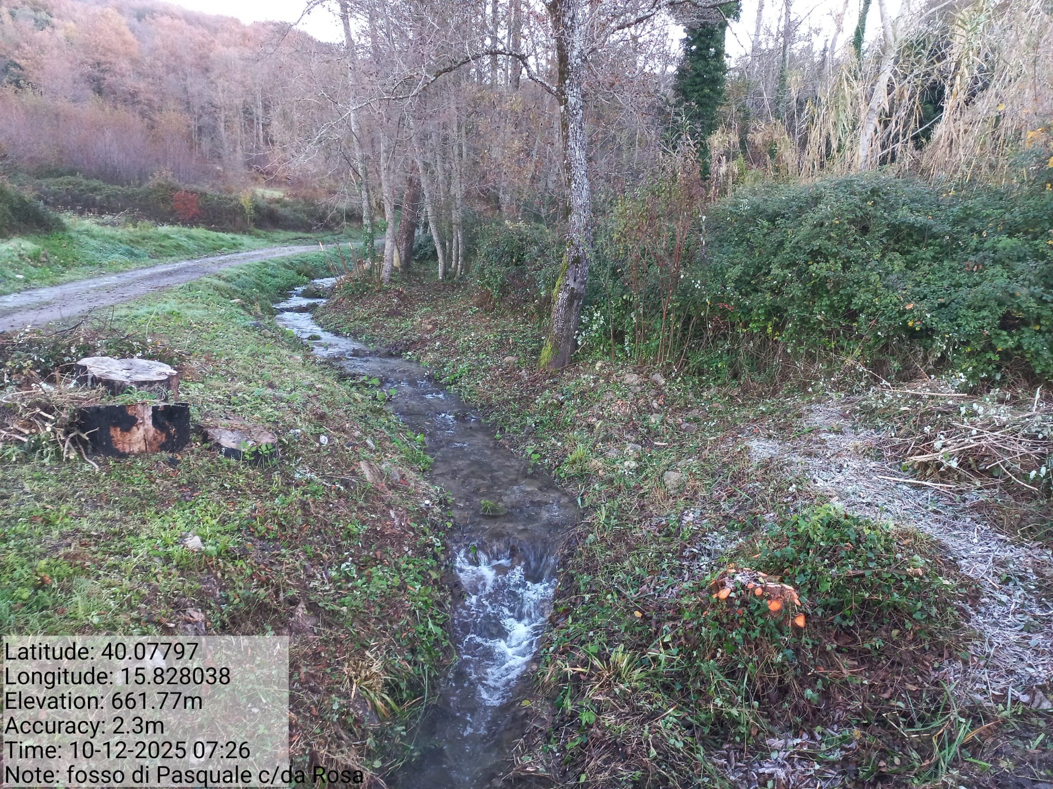 Galleria Fotografica Immagine