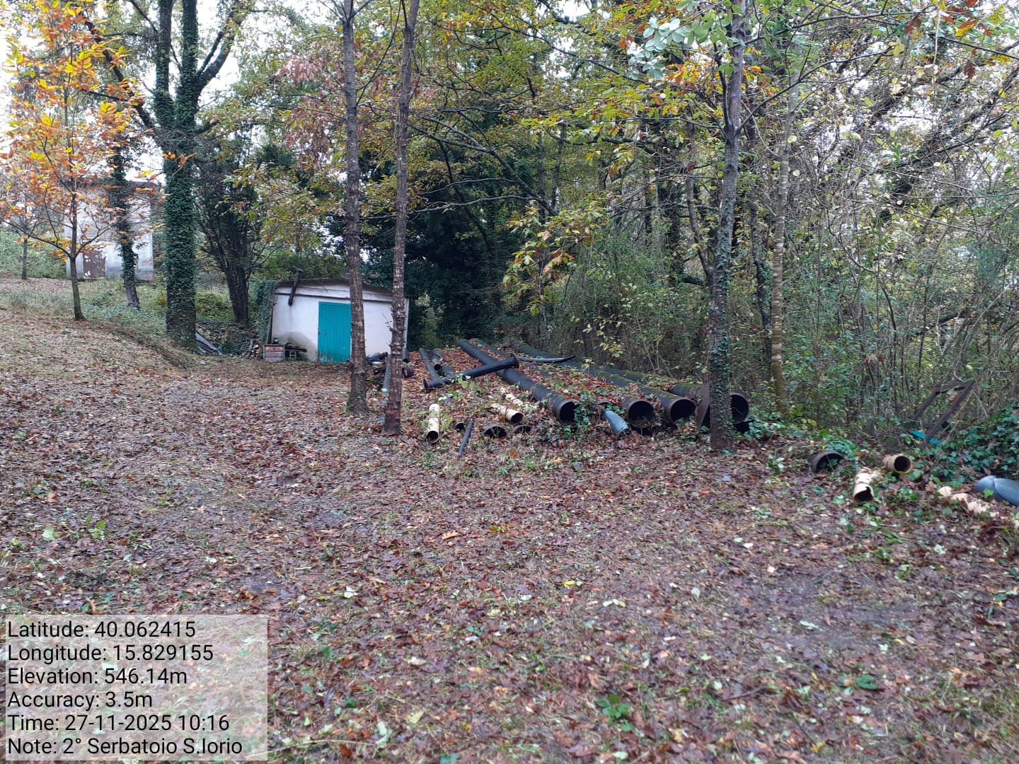 Galleria Fotografica Immagine