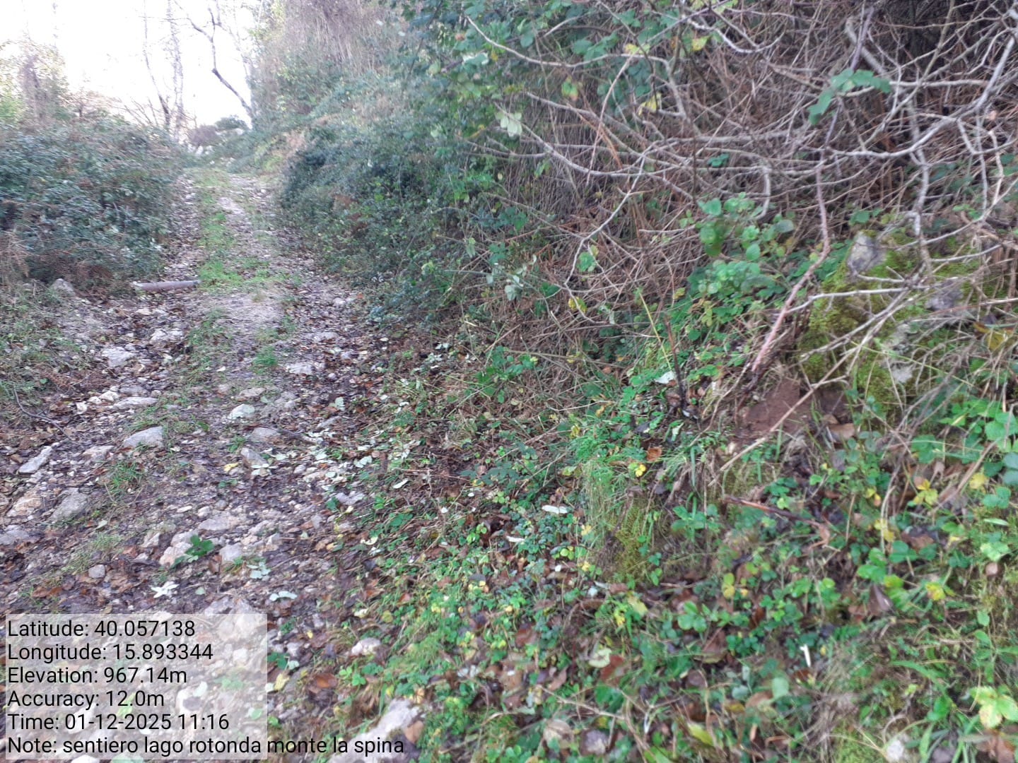 Galleria Fotografica Immagine