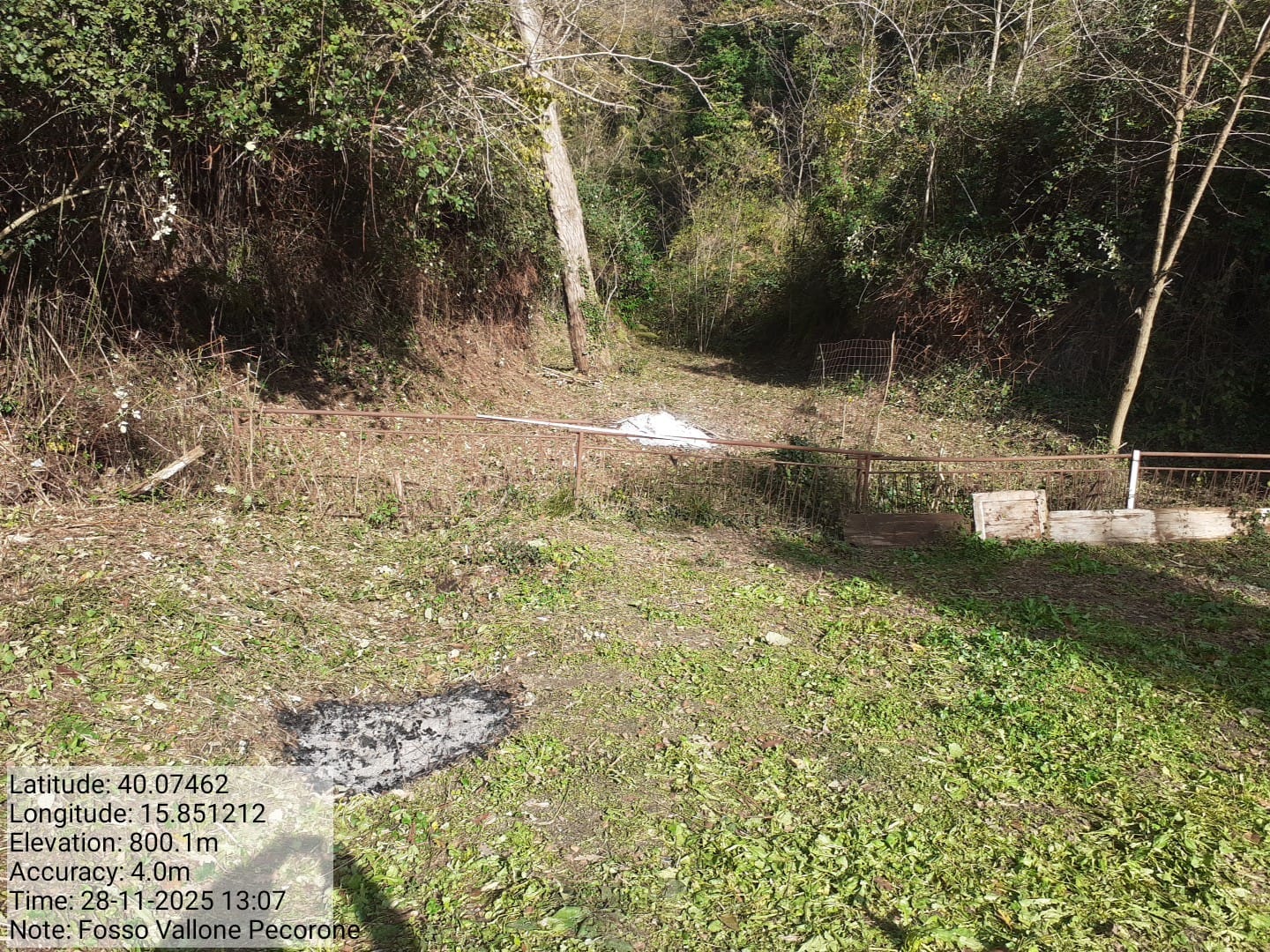 Galleria Fotografica Immagine