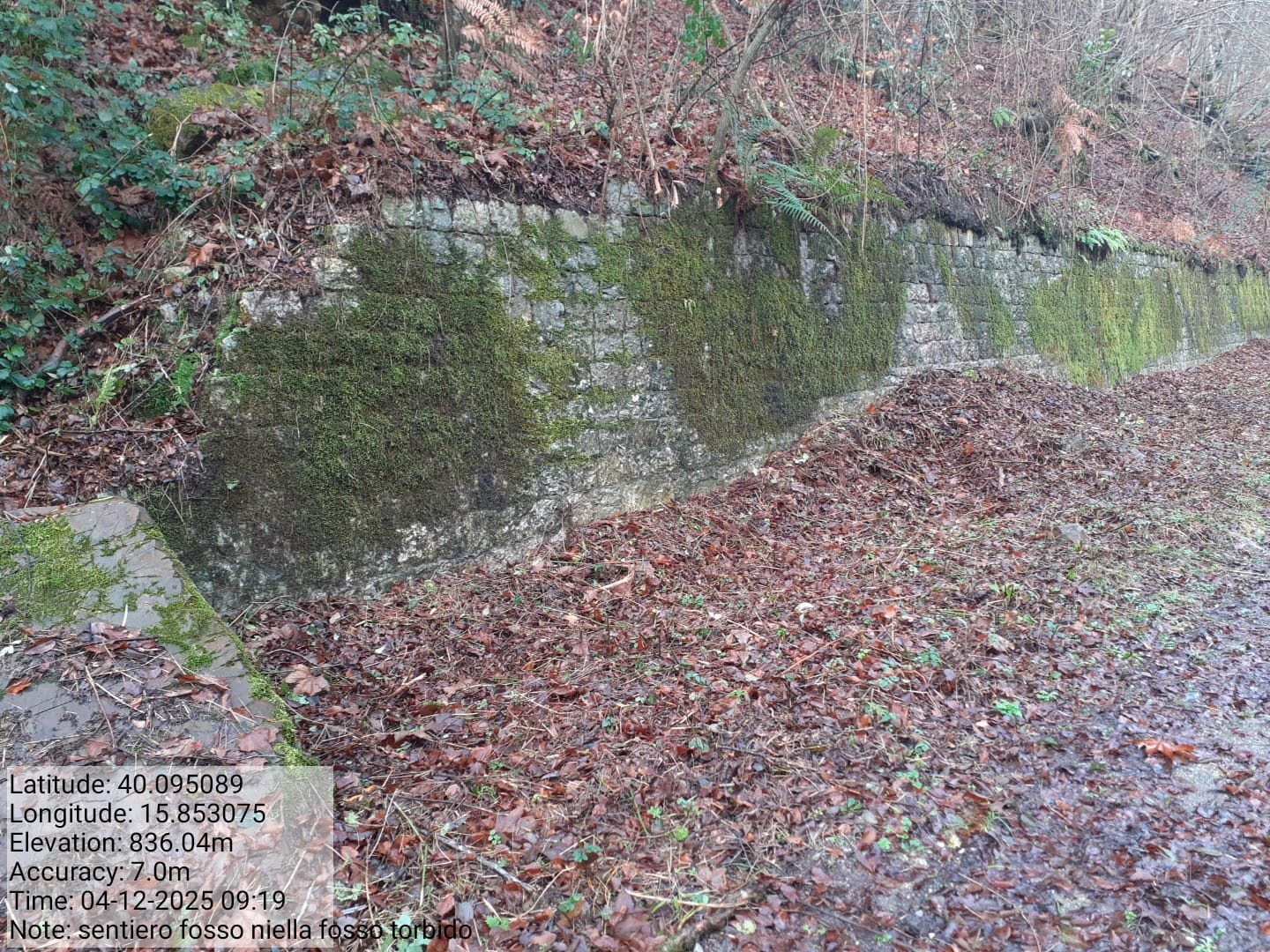 Galleria Fotografica Immagine