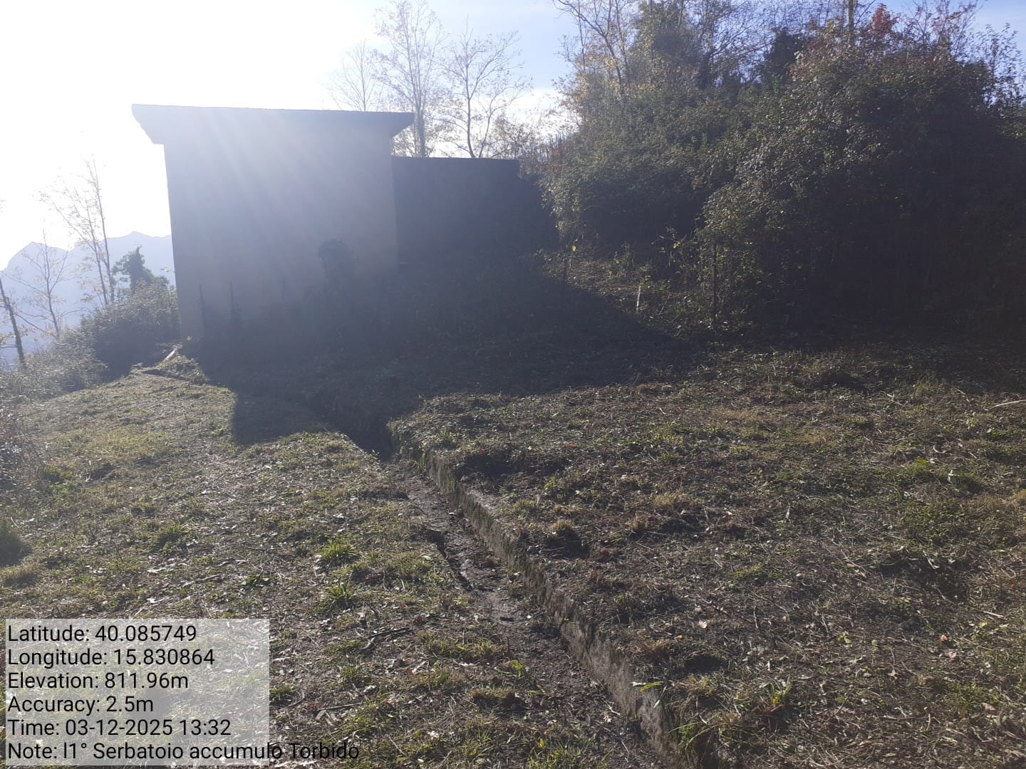 Galleria Fotografica Immagine