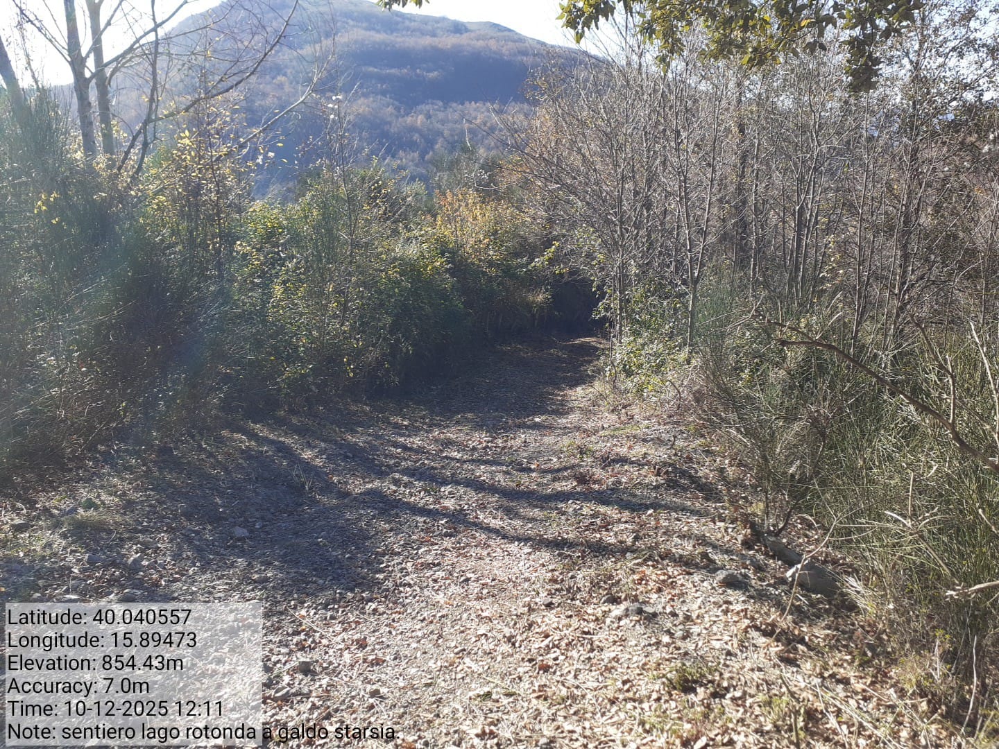 Galleria Fotografica Immagine