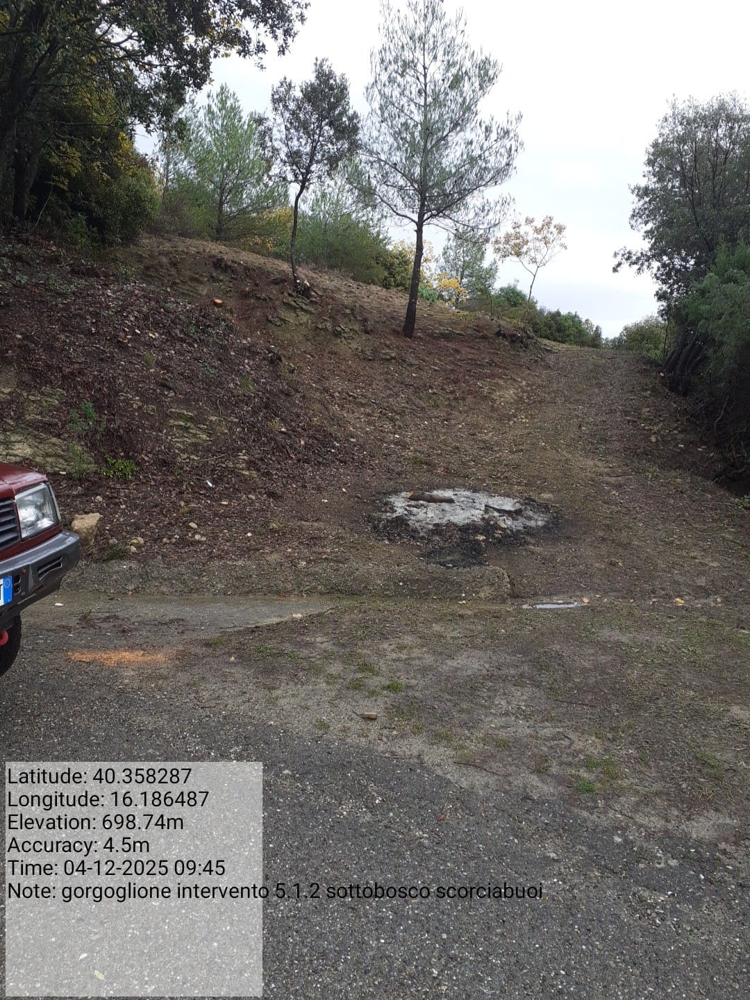 Galleria Fotografica Immagine