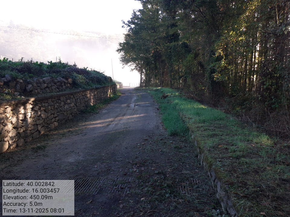 Galleria Fotografica Immagine