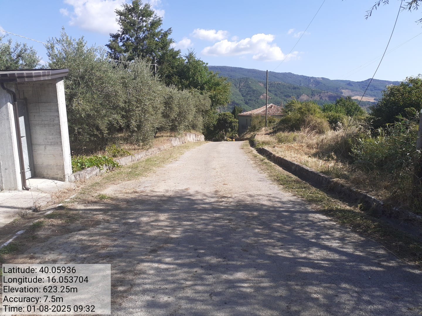 Galleria Fotografica Immagine