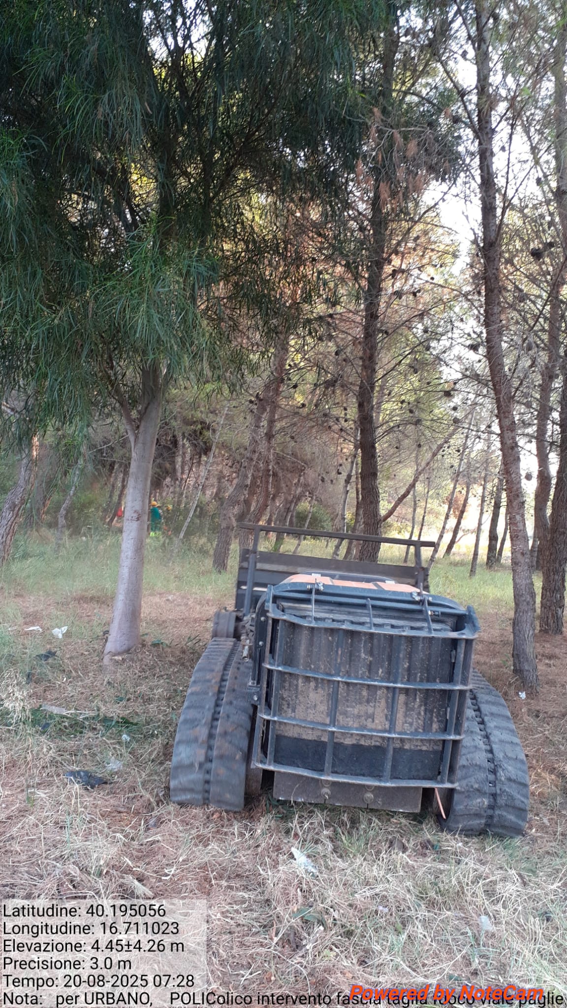 Galleria Fotografica Immagine