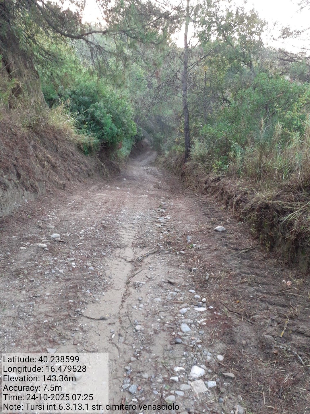 Galleria Fotografica Immagine