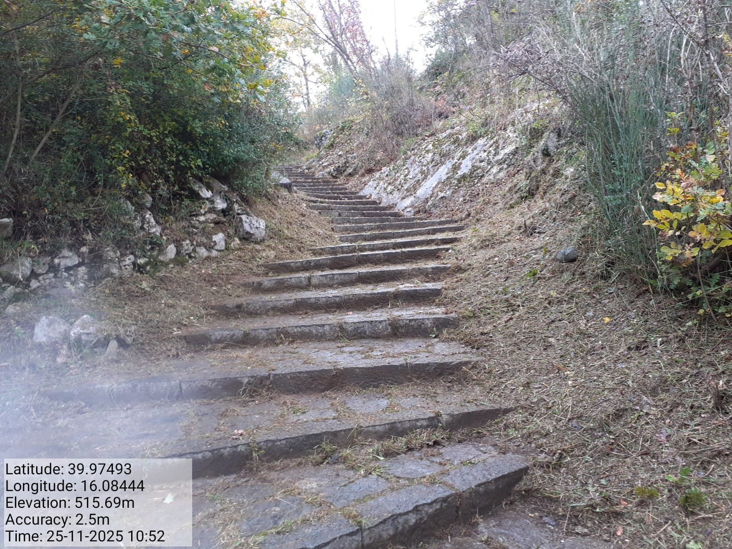 Galleria Fotografica Immagine