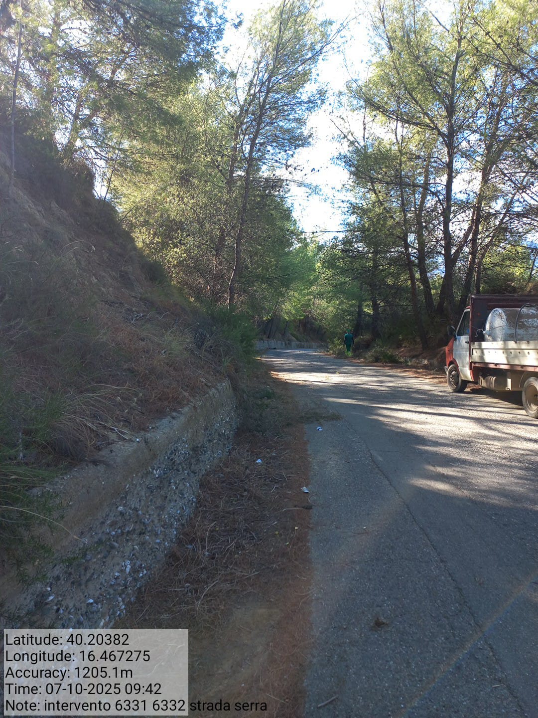 Galleria Fotografica Immagine