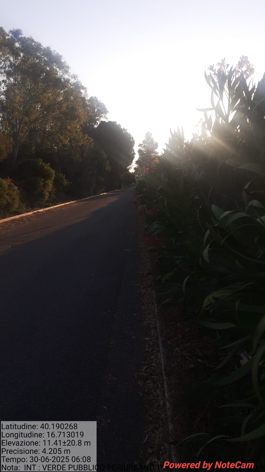 Galleria Fotografica Immagine