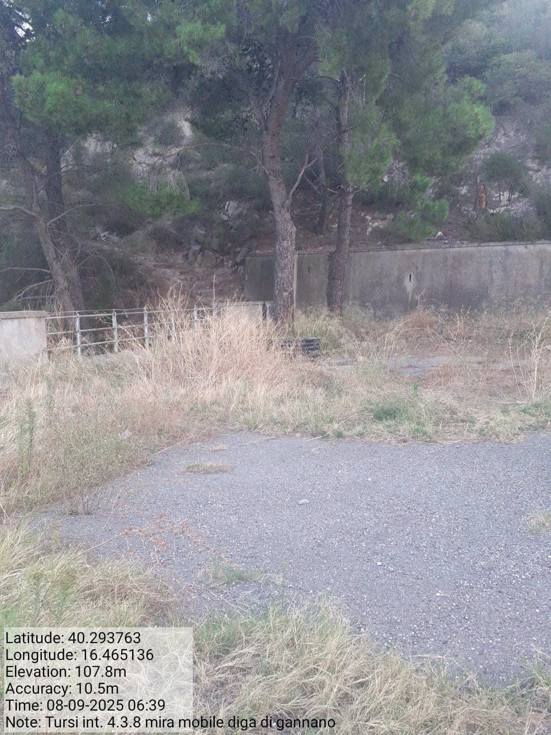 Galleria Fotografica Immagine