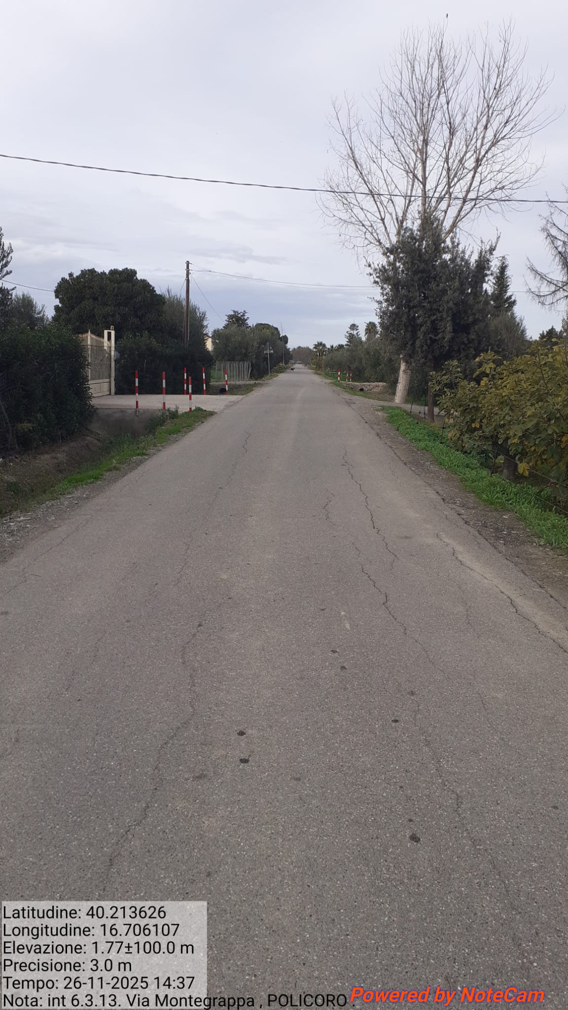 Galleria Fotografica Immagine