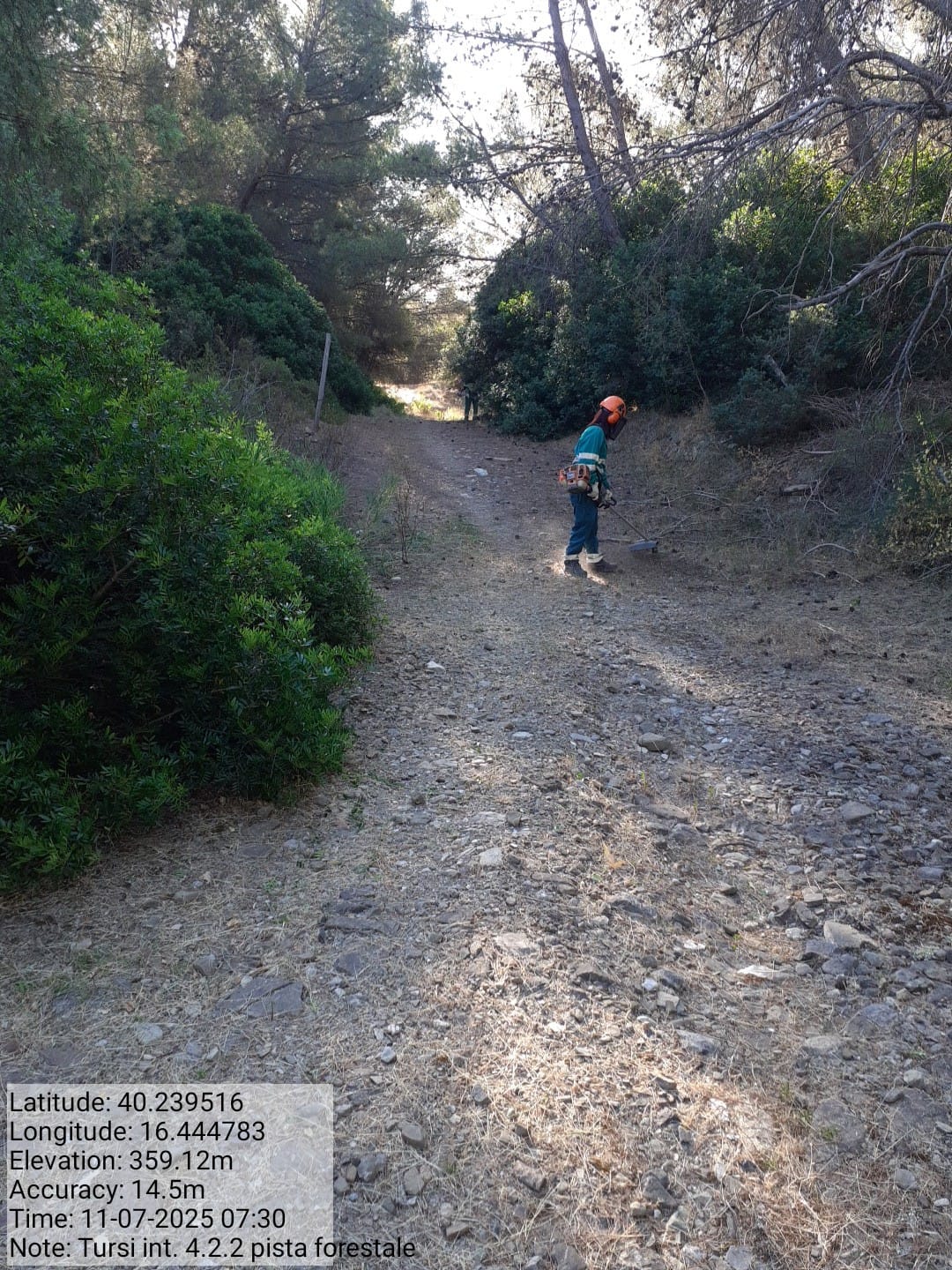 Galleria Fotografica Immagine