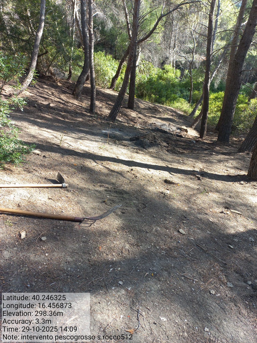 Galleria Fotografica Immagine