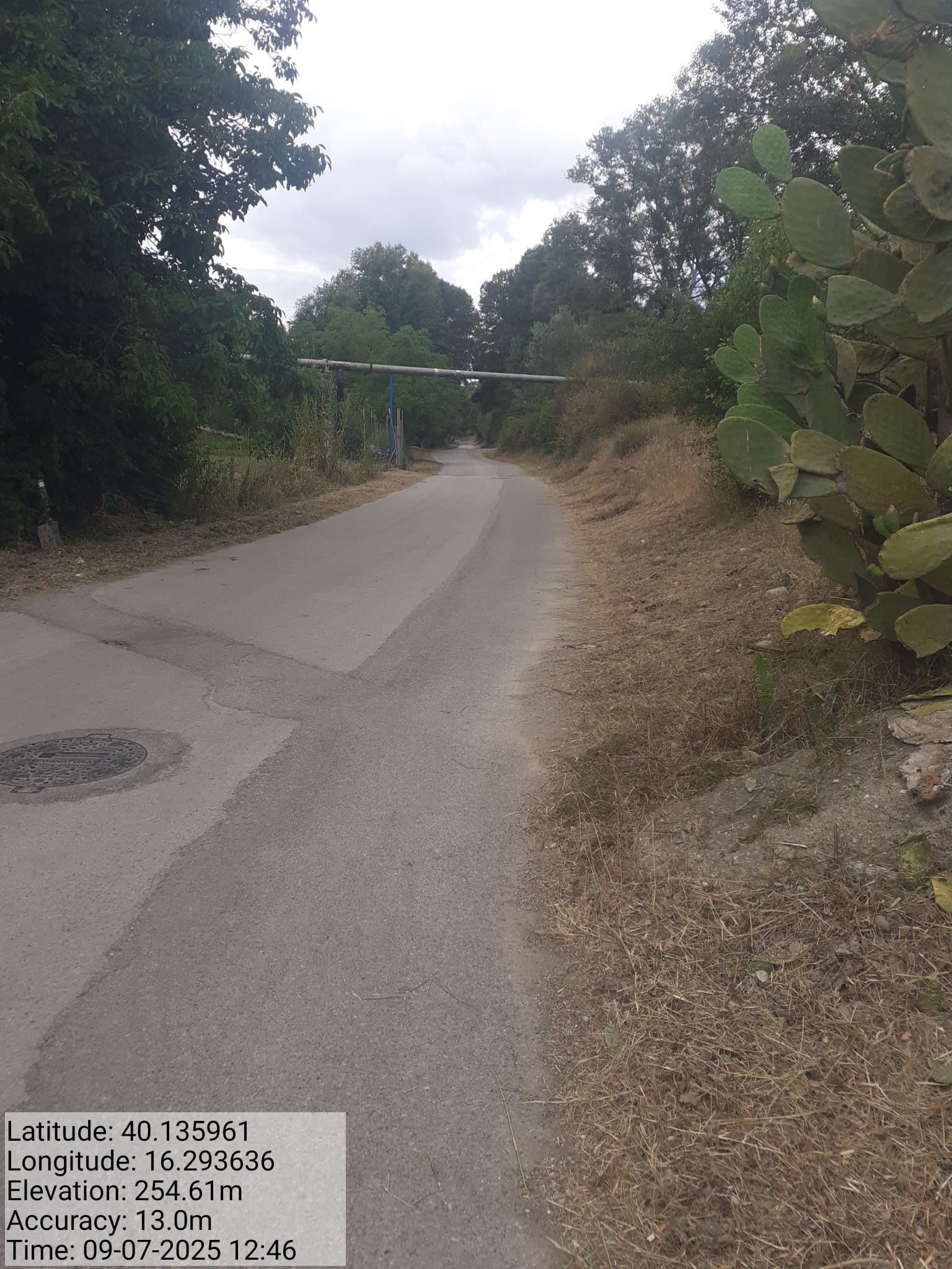 Galleria Fotografica Immagine