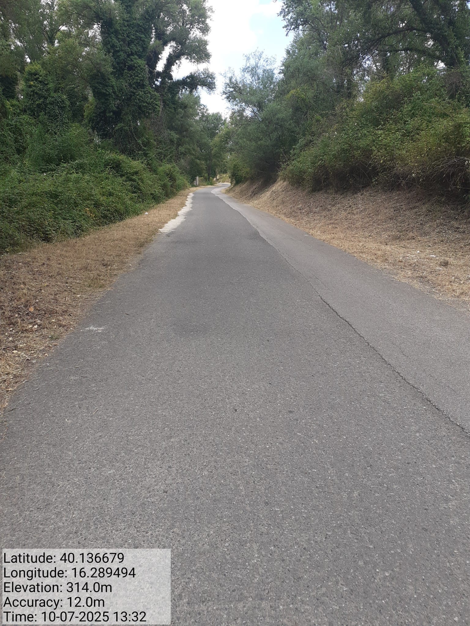 Galleria Fotografica Immagine