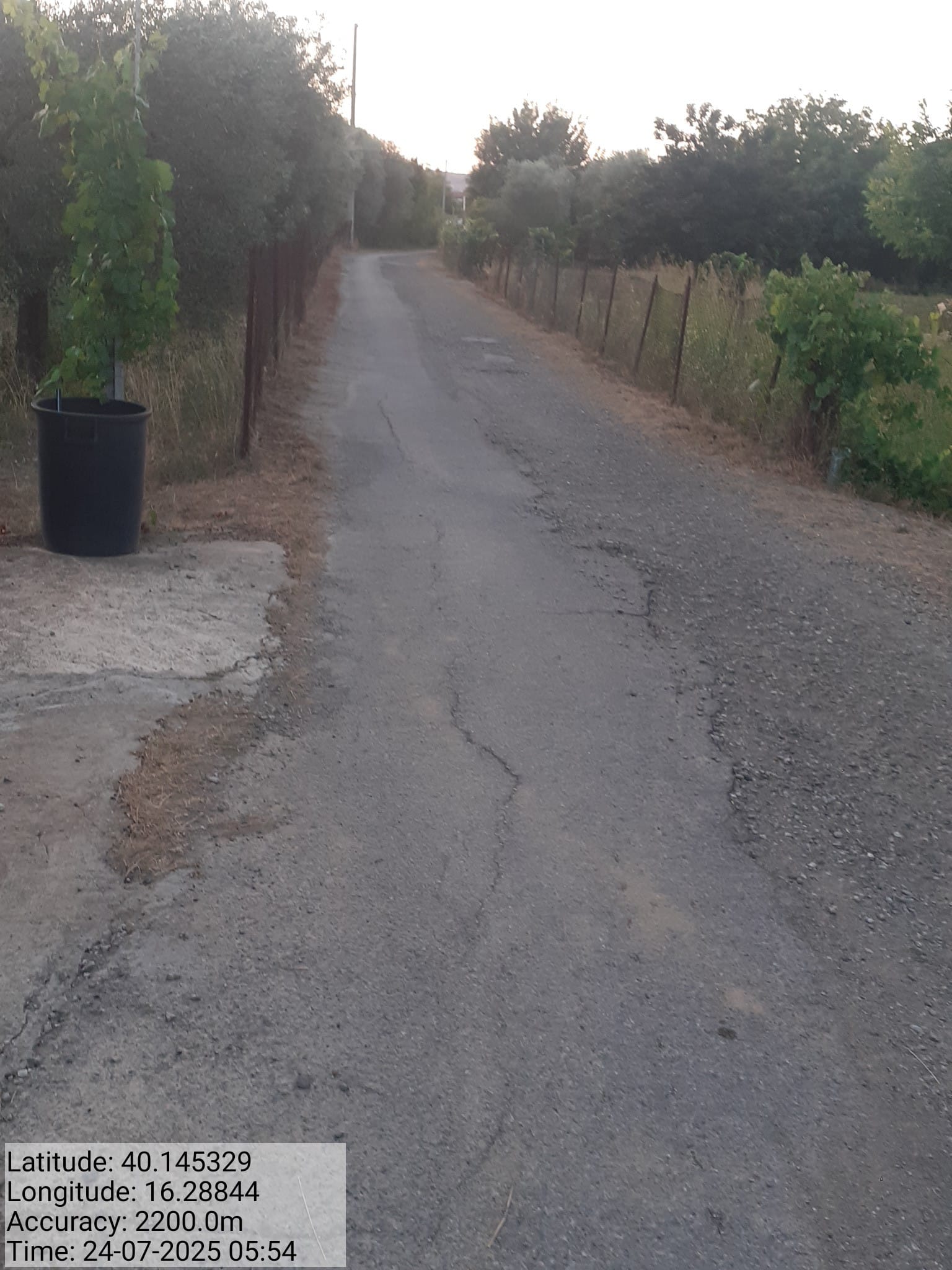 Galleria Fotografica Immagine