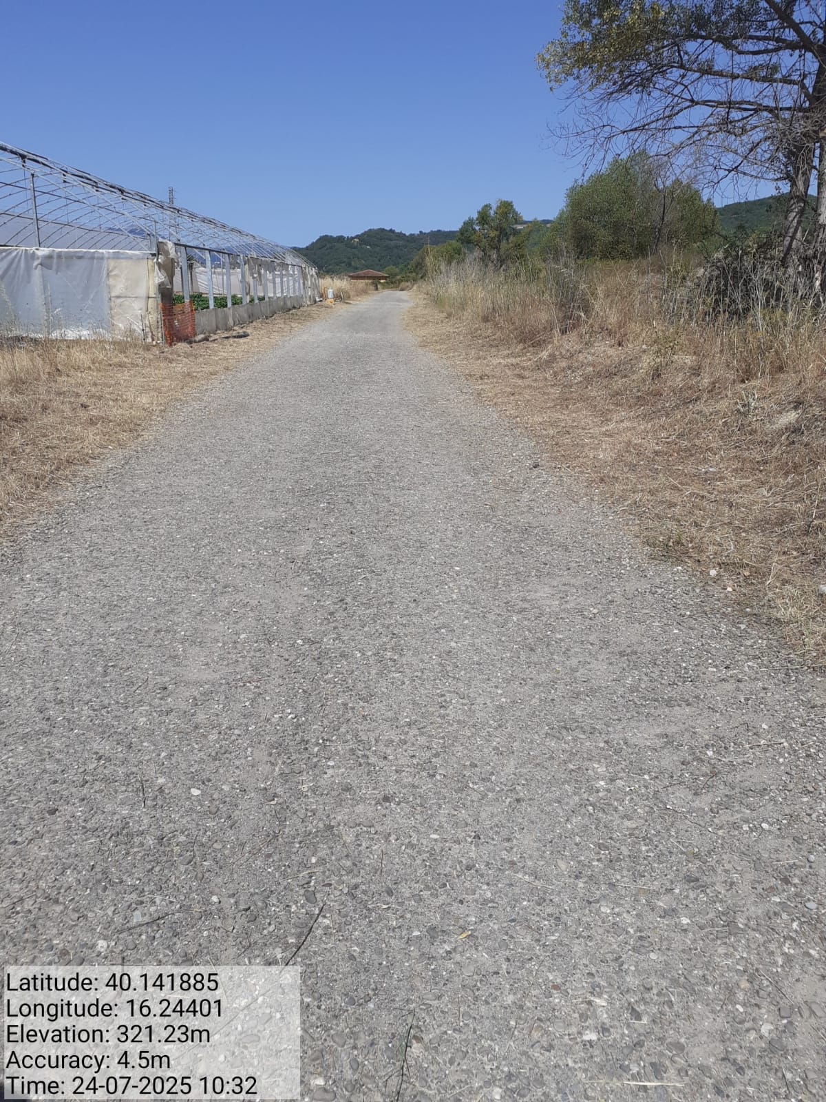 Galleria Fotografica Immagine