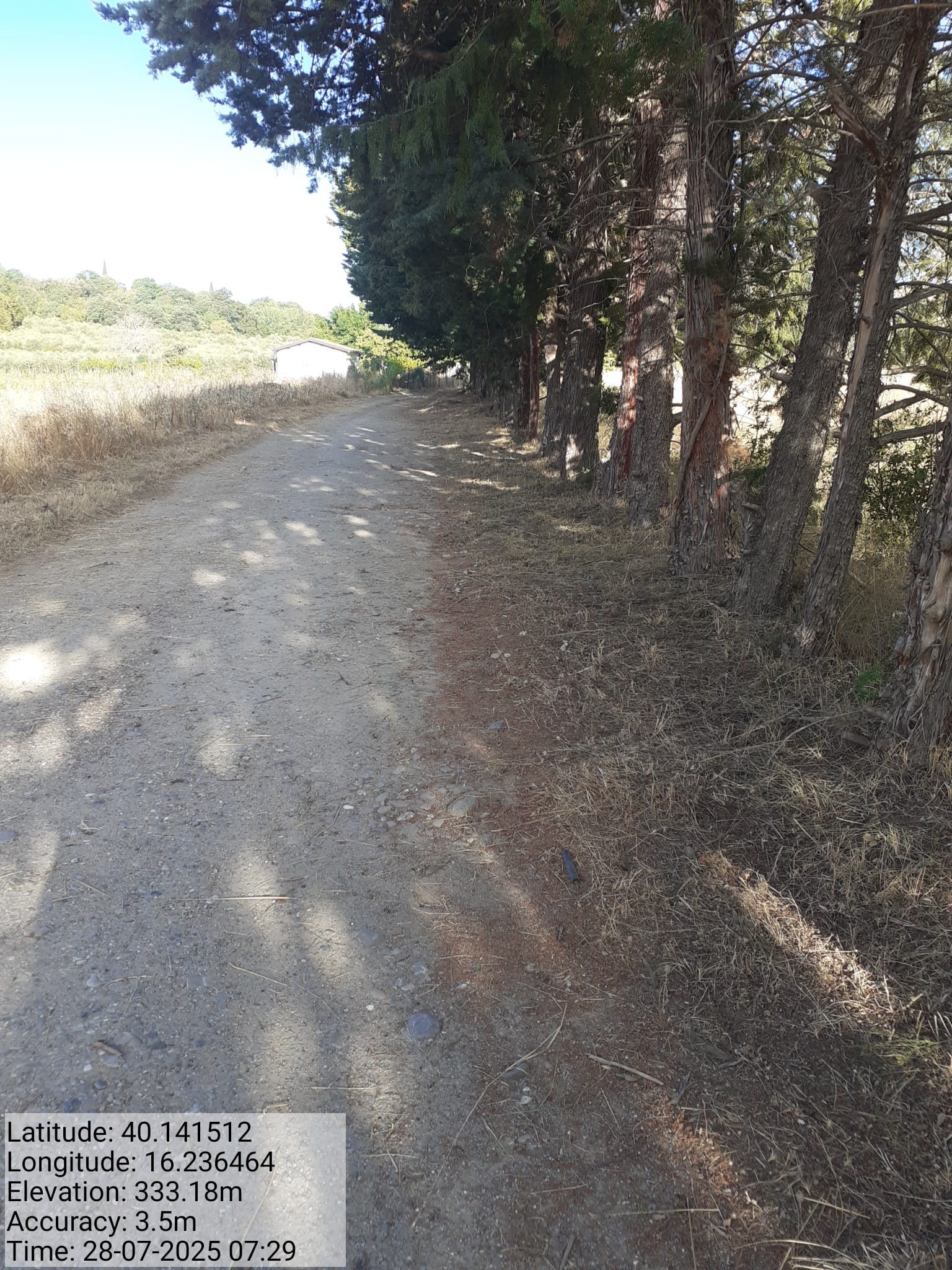 Galleria Fotografica Immagine