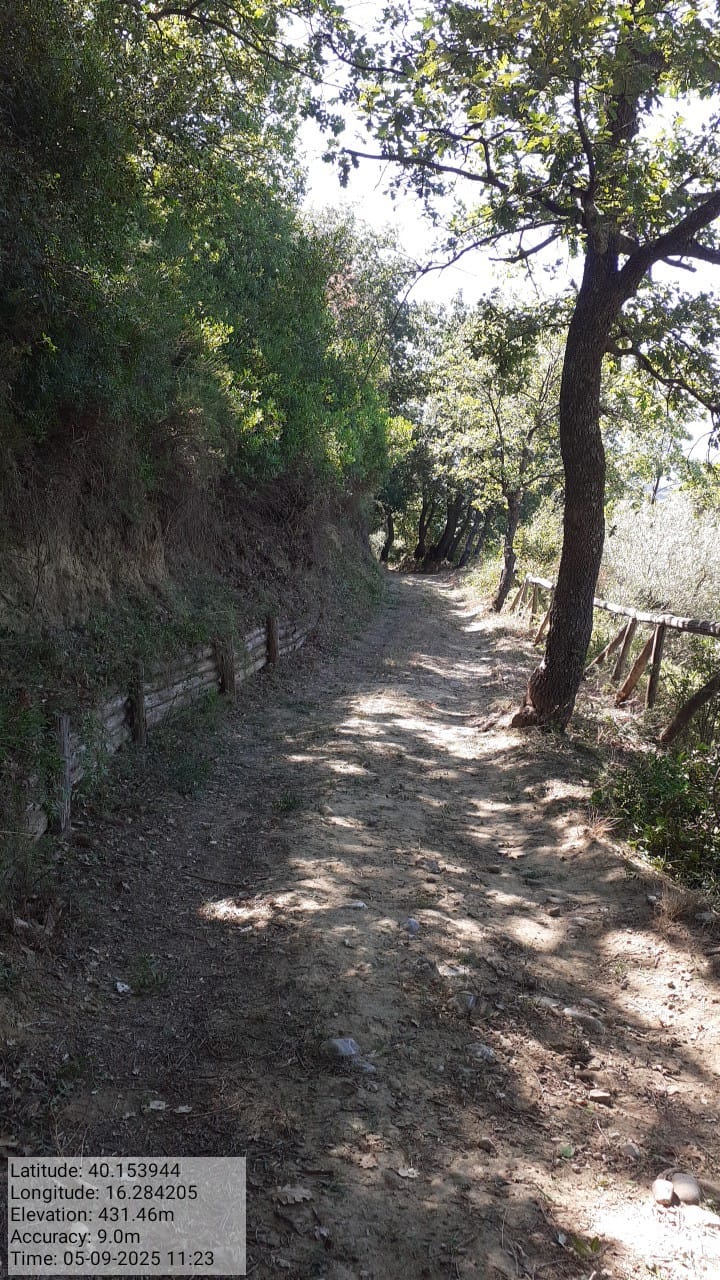 Galleria Fotografica Immagine