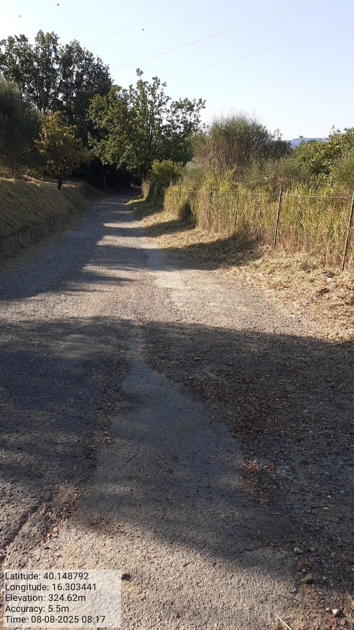 Galleria Fotografica Immagine