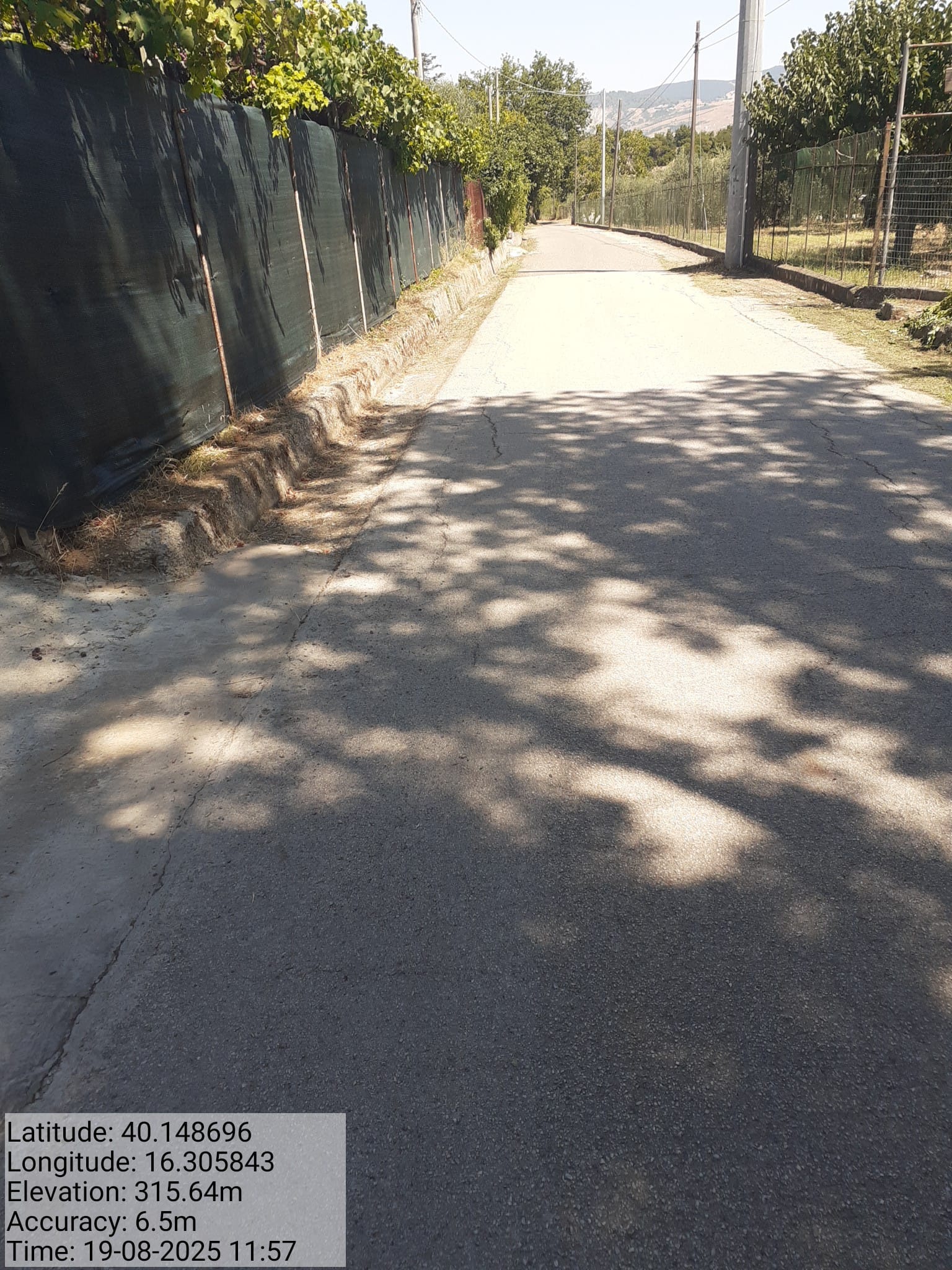 Galleria Fotografica Immagine