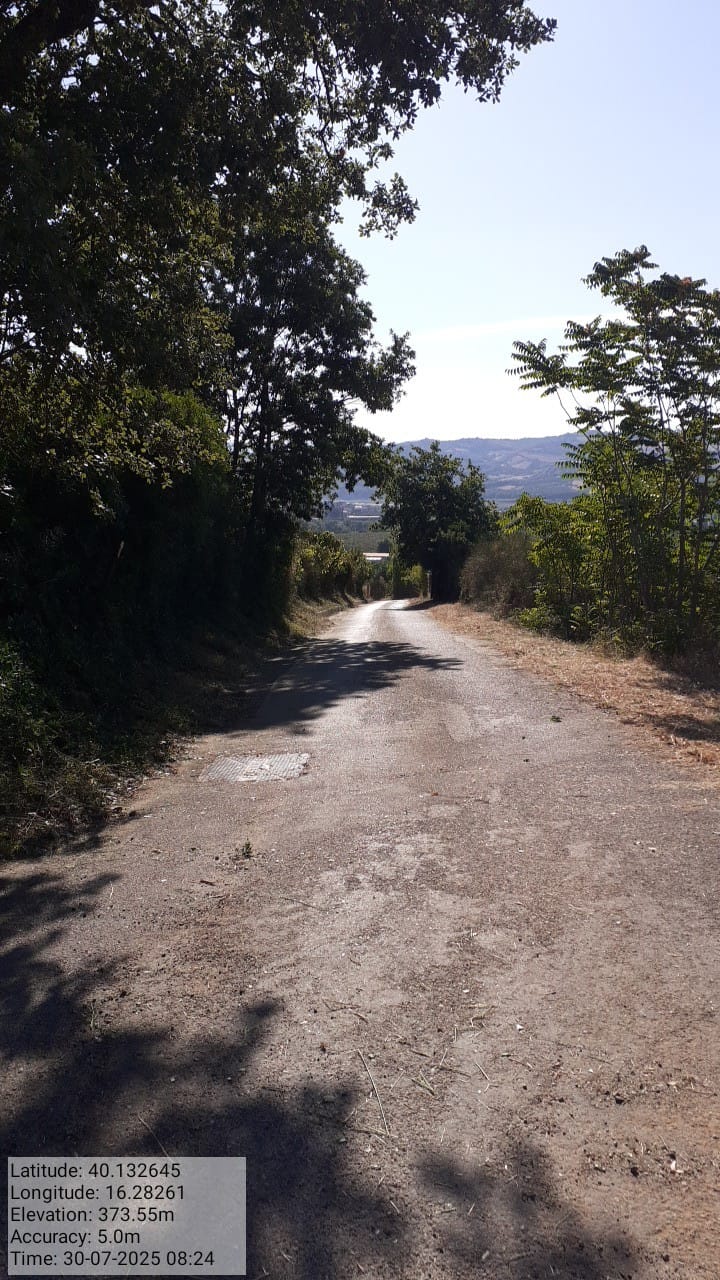 Galleria Fotografica Immagine