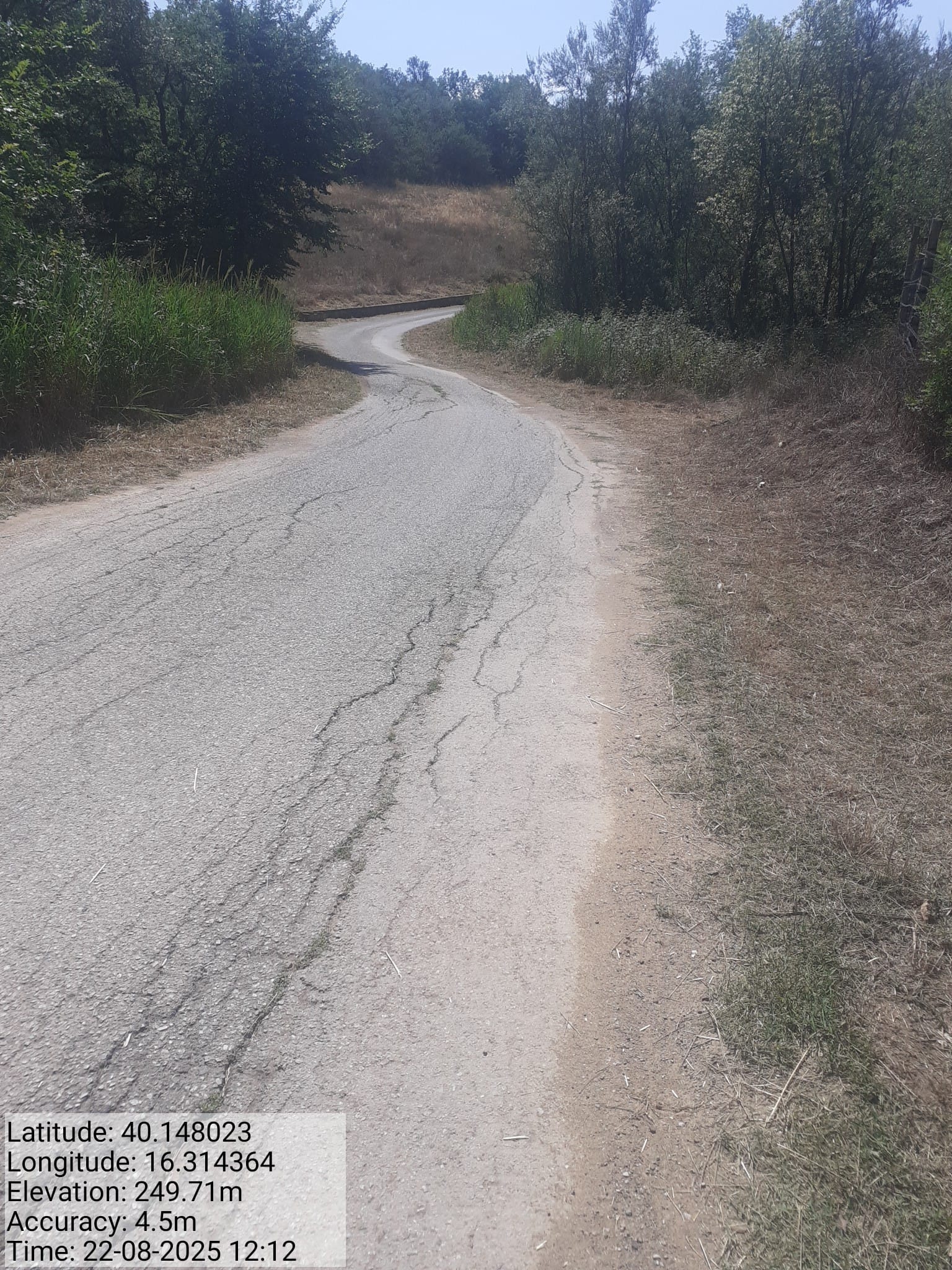 Galleria Fotografica Immagine