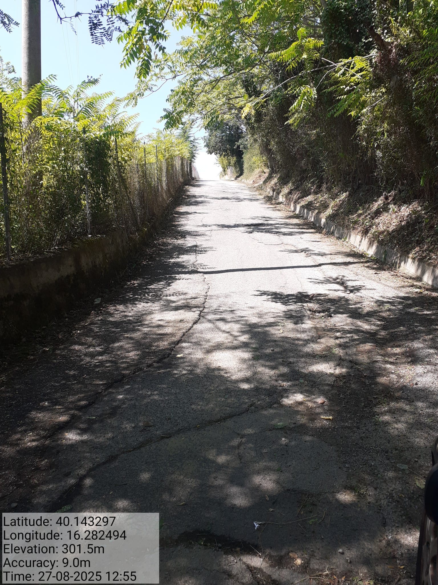 Galleria Fotografica Immagine