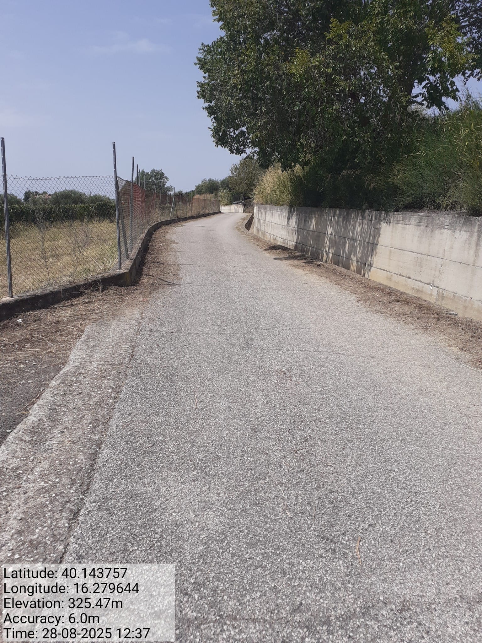 Galleria Fotografica Immagine