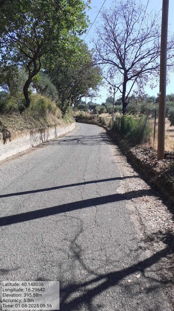 Galleria Fotografica Immagine