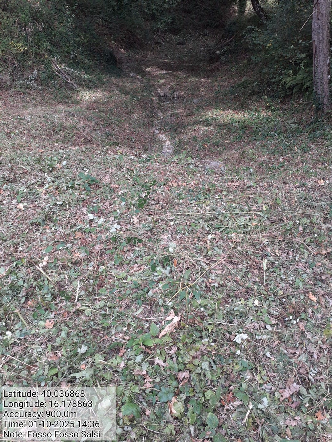 Galleria Fotografica Immagine