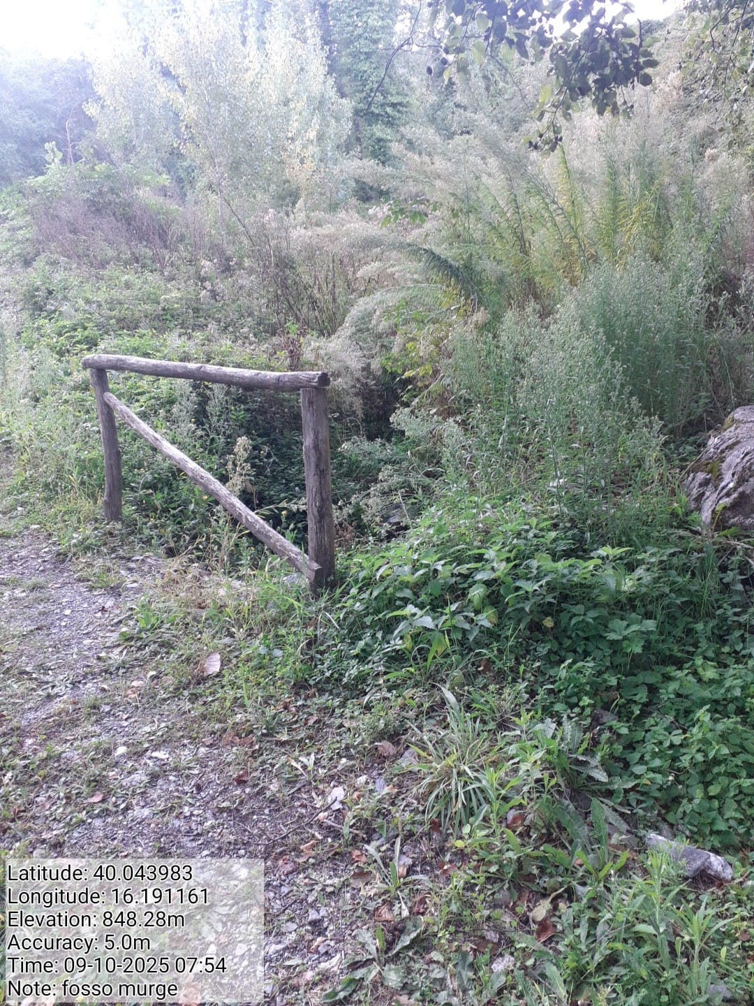 Galleria Fotografica Immagine