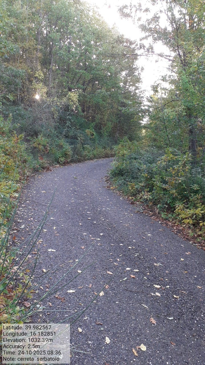 Galleria Fotografica Immagine