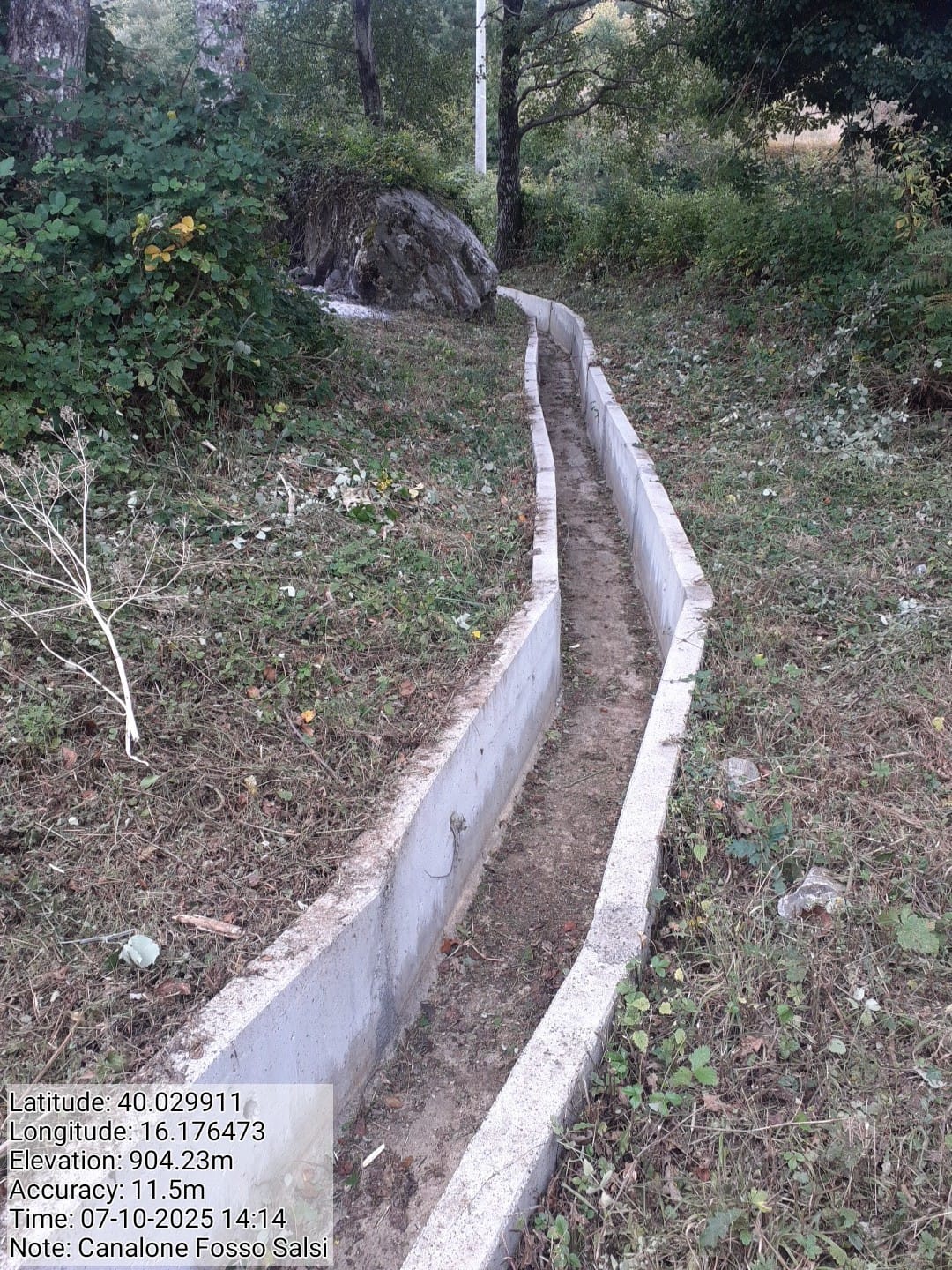 Galleria Fotografica Immagine