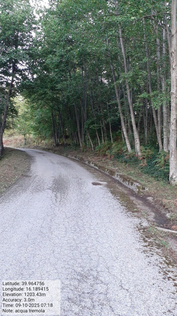 Galleria Fotografica Immagine