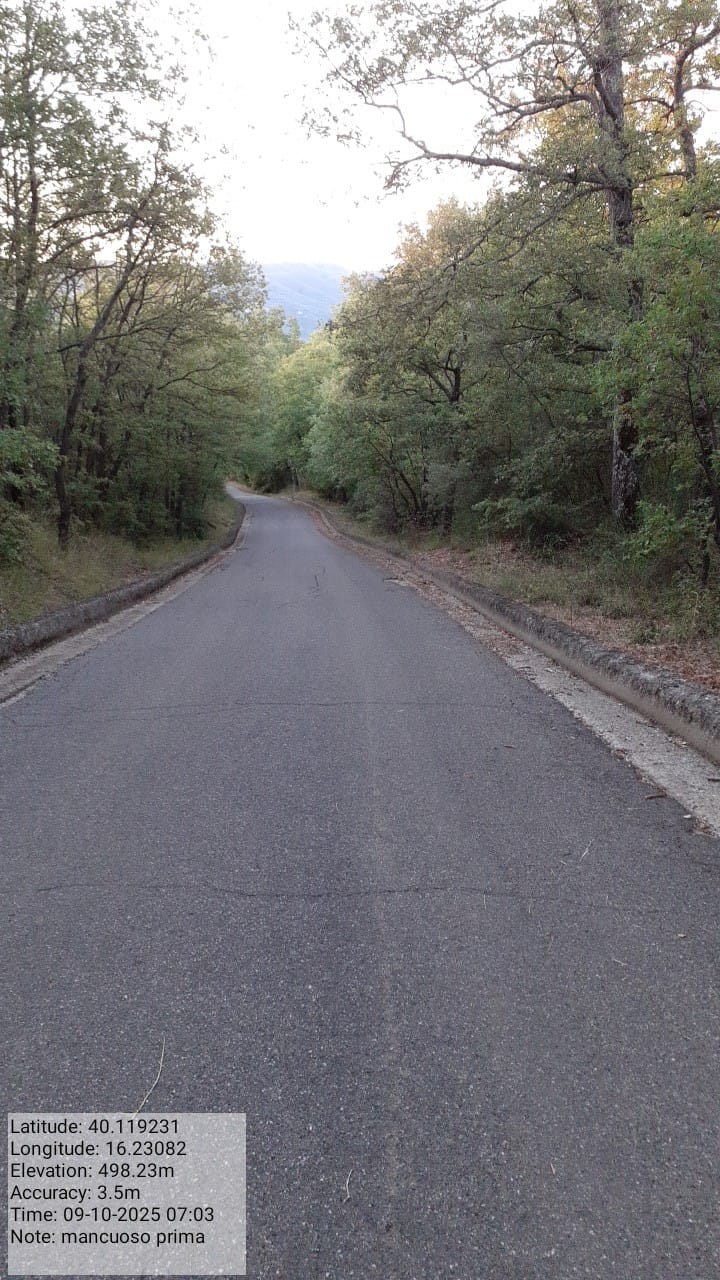 Galleria Fotografica Immagine