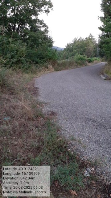 Galleria Fotografica Immagine