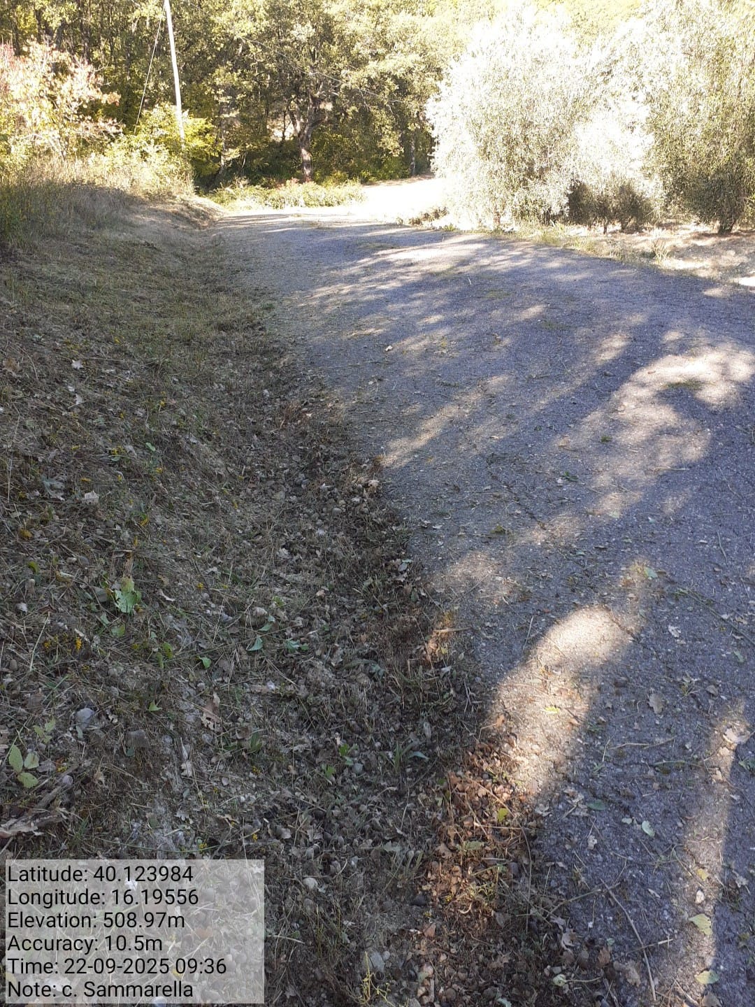 Galleria Fotografica Immagine